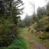 09 b Schluchensteig Etappe 4 - 6